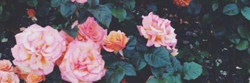 BreenCM08's profile banner image