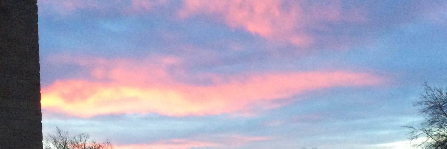 SEGCambridge's profile banner image