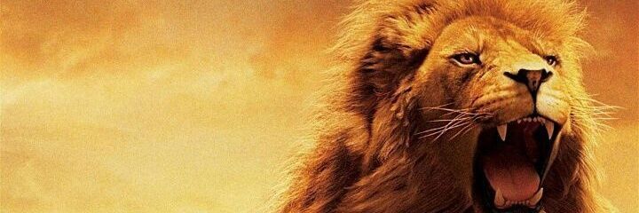 ReiBernardo's profile banner image