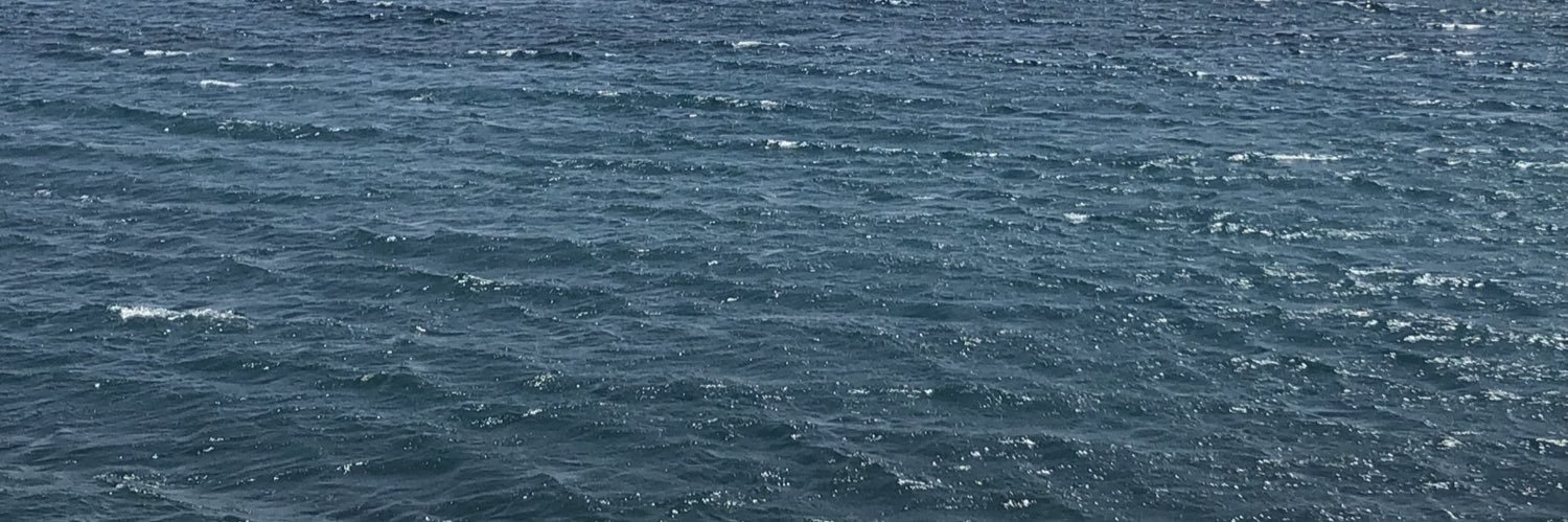 PedroGarciaNav's profile banner image