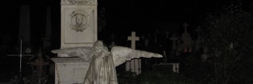 draculaskz's profile banner image