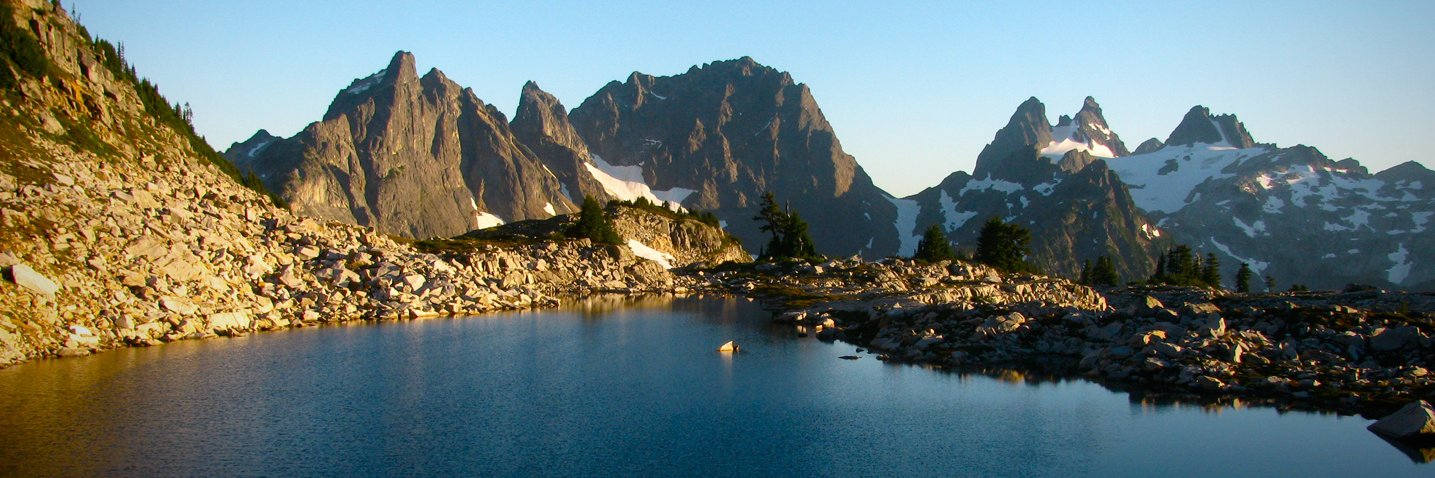 YMCA BOLD & GOLD banner
