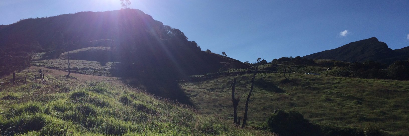 John Colmenares banner