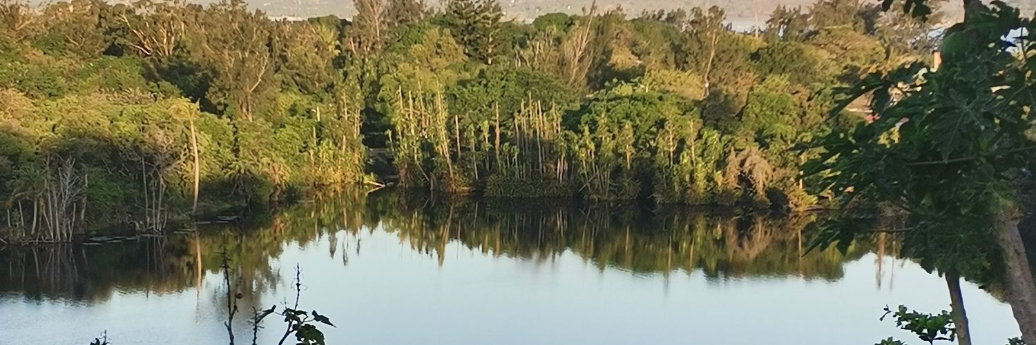 LeboM8910's profile banner image