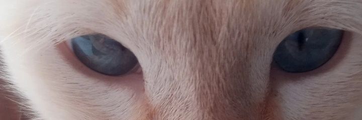 sabryna_Barb's profile banner image