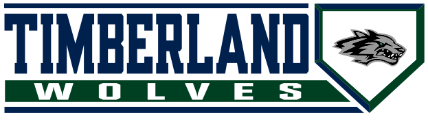 Timberland Baseball banner
