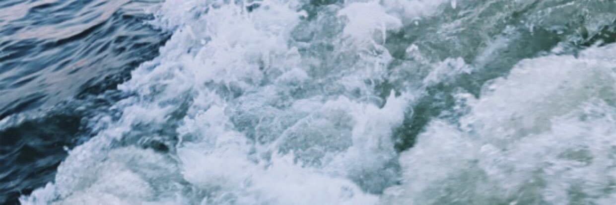 chloe_ekborg's profile banner image