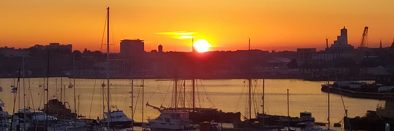 Harriet Dismore banner