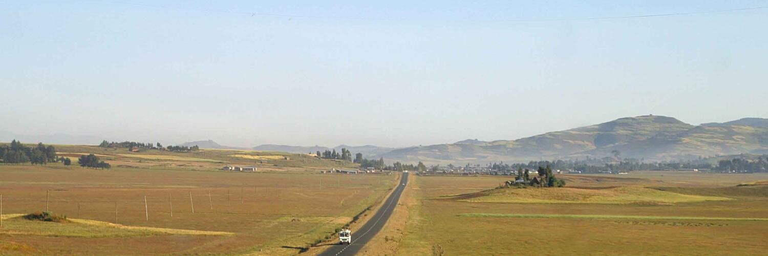 Bruck Teshome banner