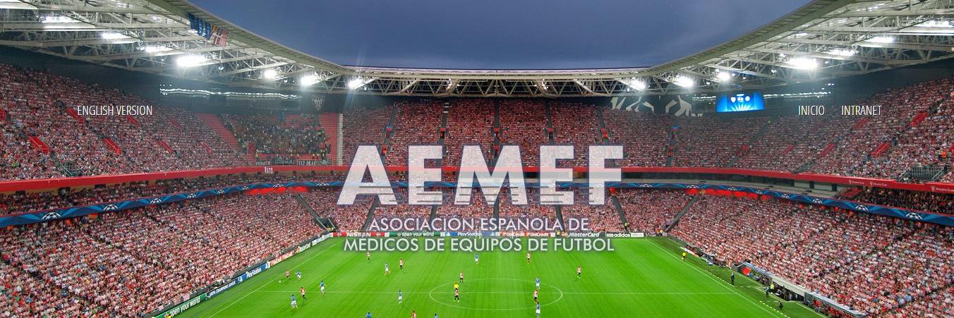 AEMEF banner