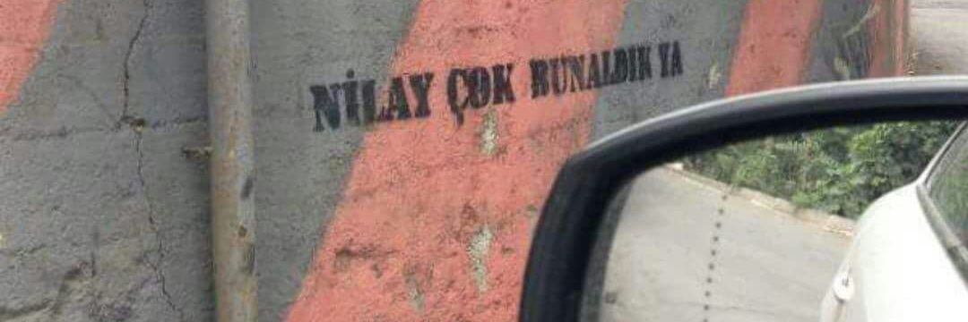 ninaylay's profile banner image