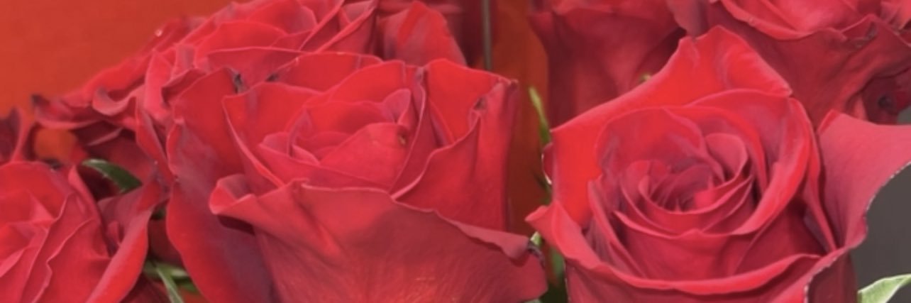 BeyondQuality_'s profile banner image
