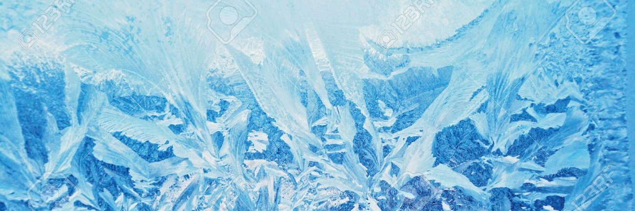 🌺 Peace My Guy 🌺 banner