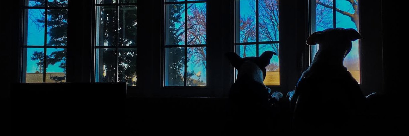 JoshDylan's profile banner image