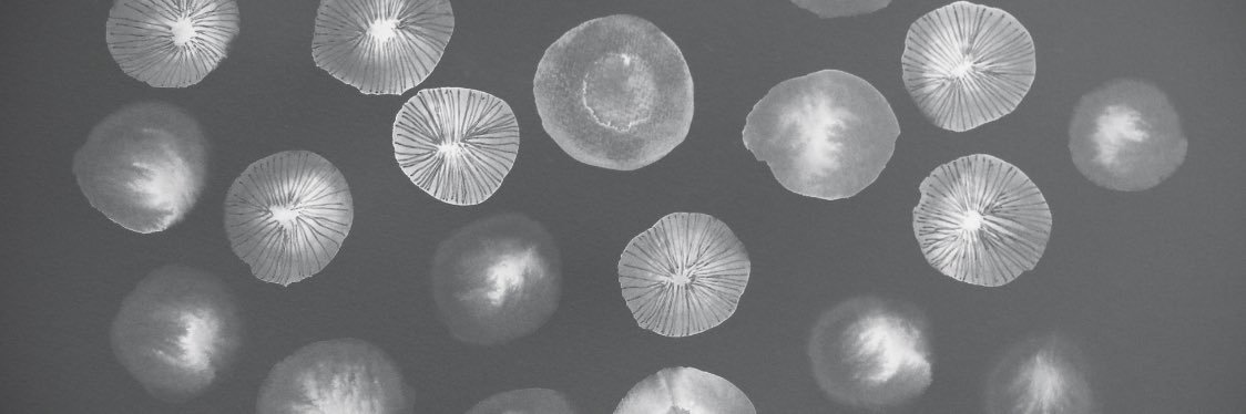 JulyWesthale's profile banner image