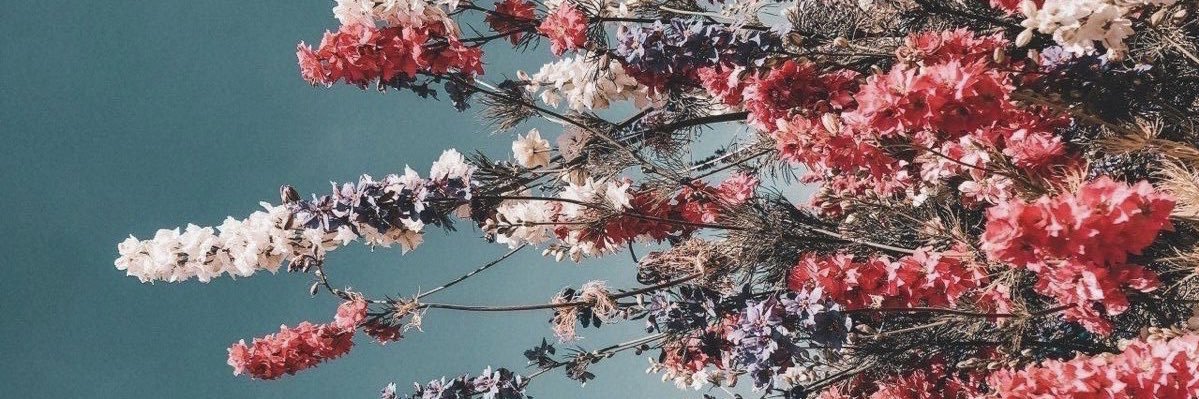 casey_leigh7's profile banner image