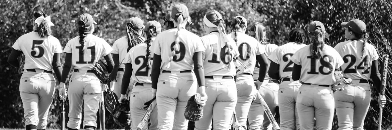 Mandarin Softball banner