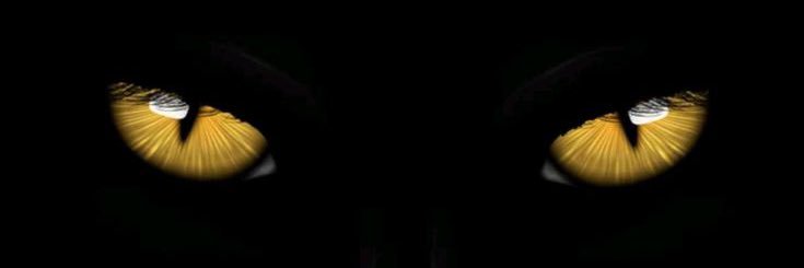 SamBittenc's profile banner image