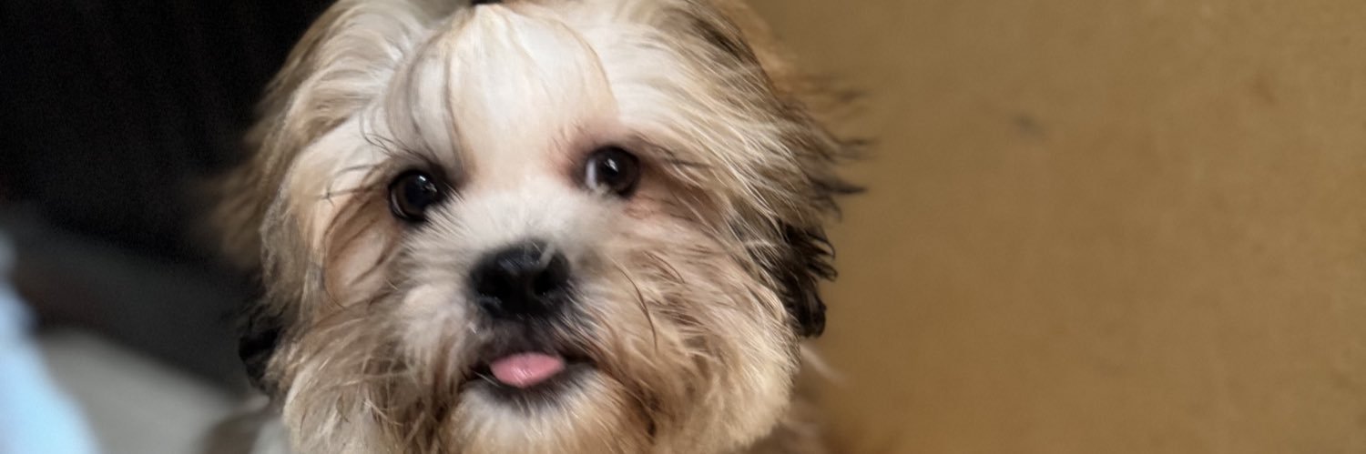 leonesgl5's profile banner image
