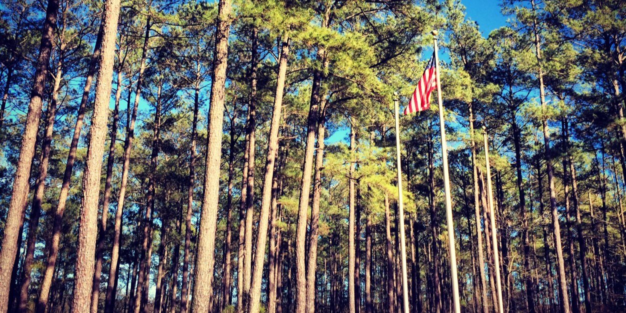 CapeFearBSA's profile banner image