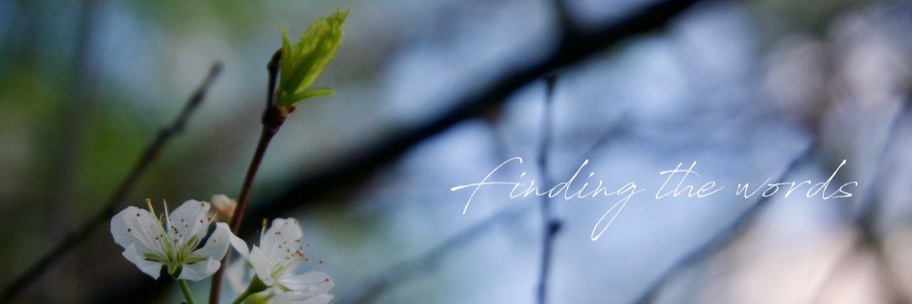 Kitty Shea banner