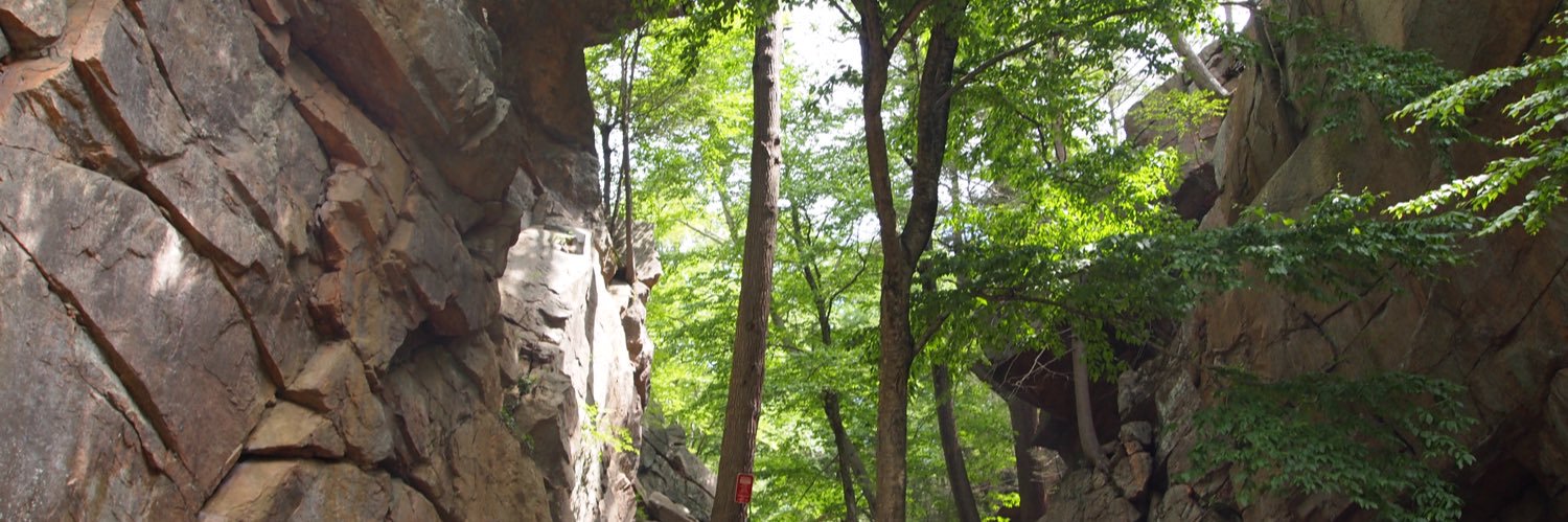 Author Eric J Ostroff is QUERYING banner