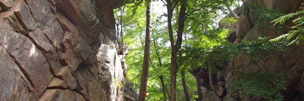 EricJOstroff Profile Banner