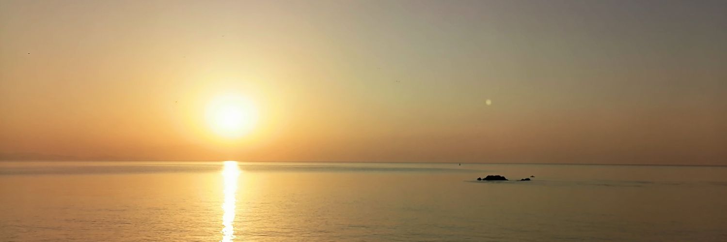 lifashin's profile banner image