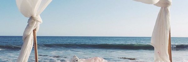 A22la's profile banner image