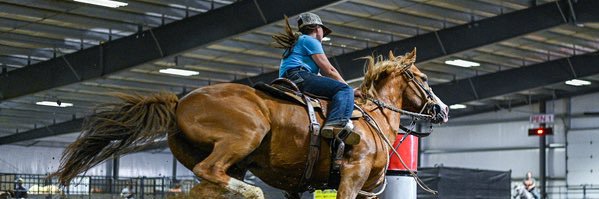 paigesanorr's profile banner image