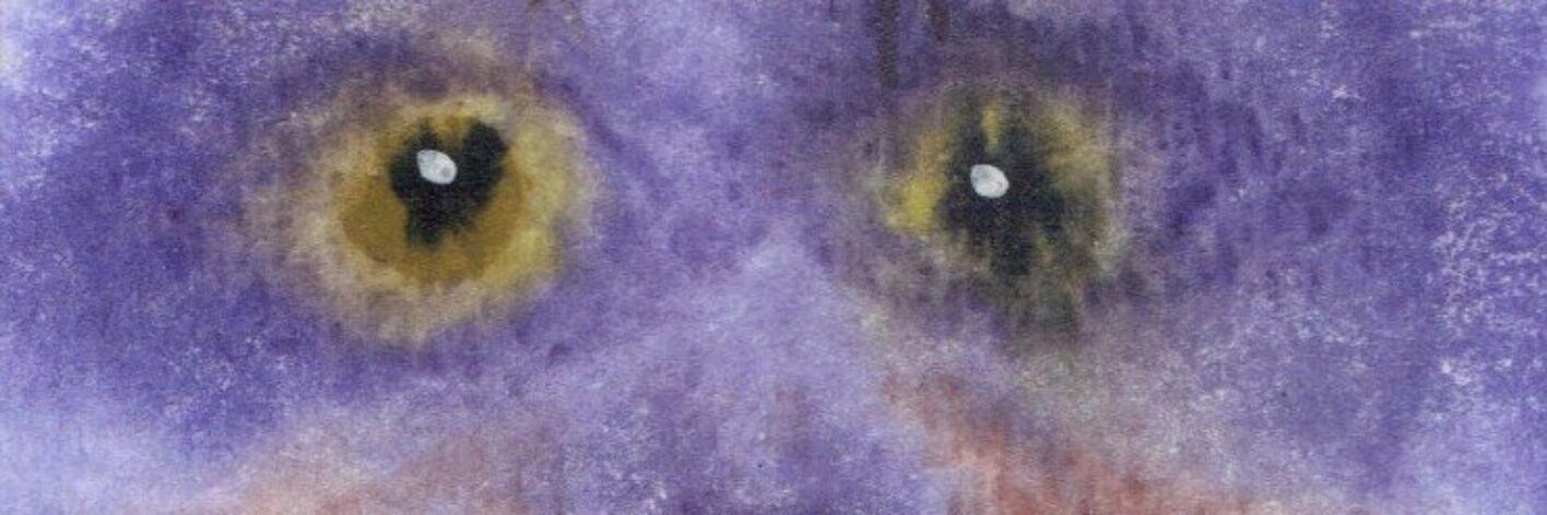 rioscats's profile banner image