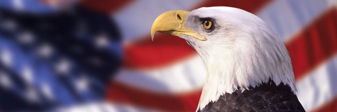loryreportsv's profile banner image
