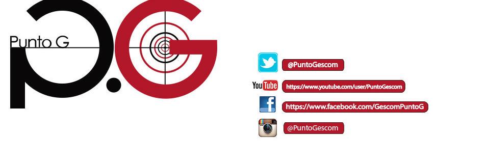 PuntoGescom's profile banner image