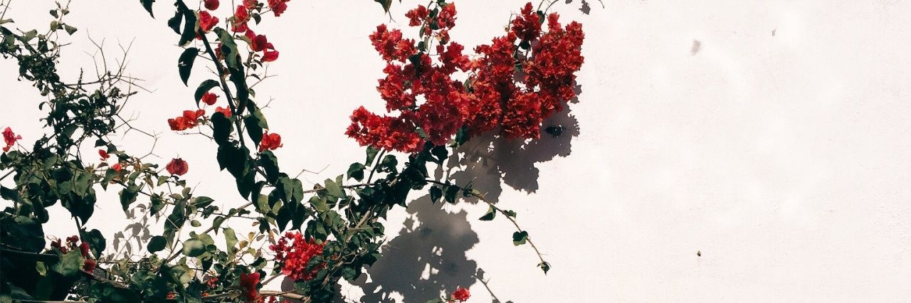 grrkatie's profile banner image