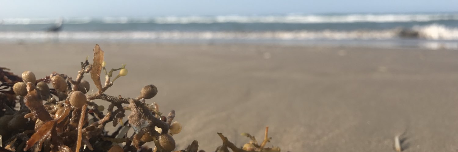 OADRIANMG's profile banner image