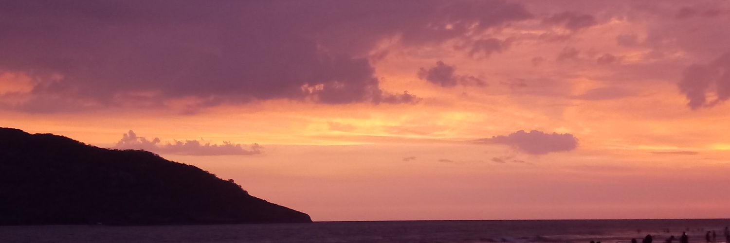 dnptealv's profile banner image