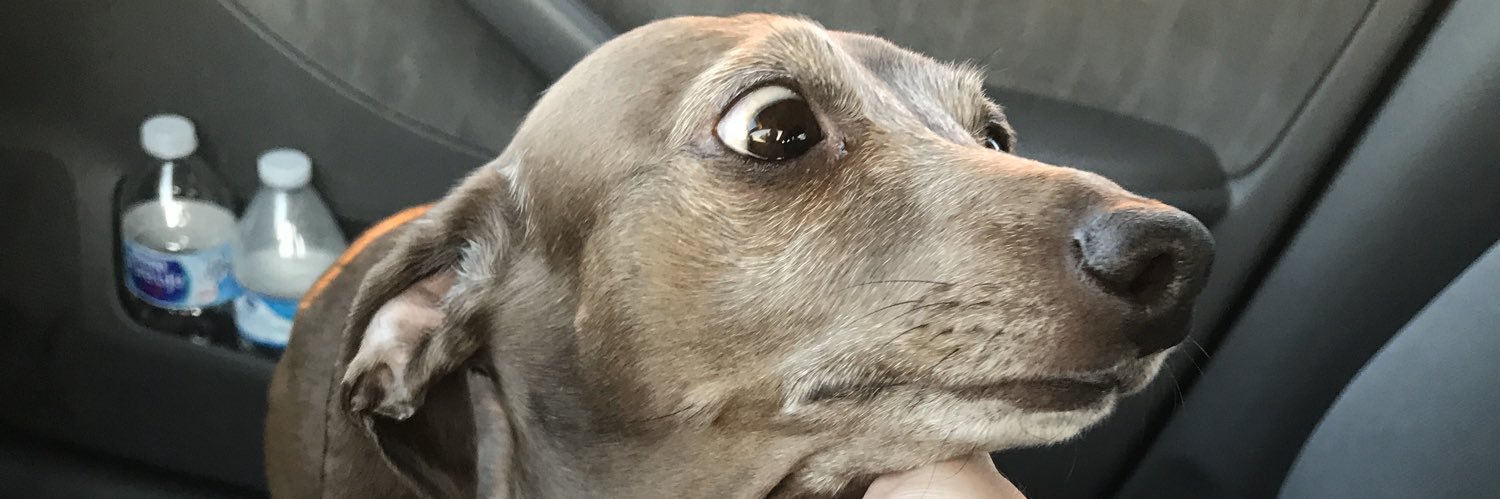 Kendra Wilson banner