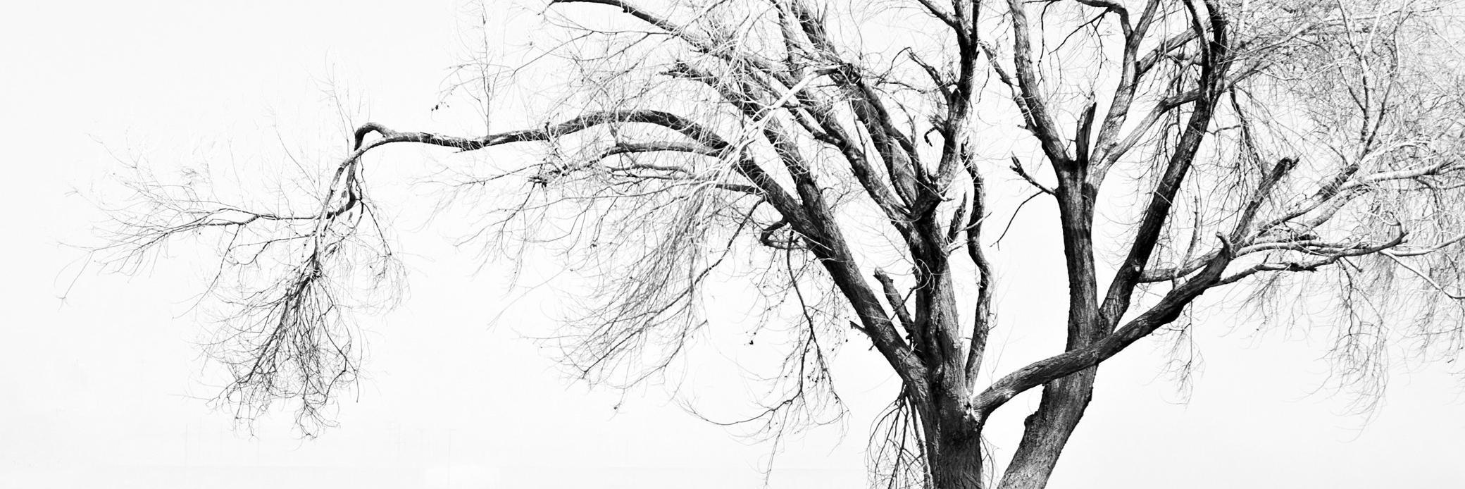Vicmtzp's profile banner image