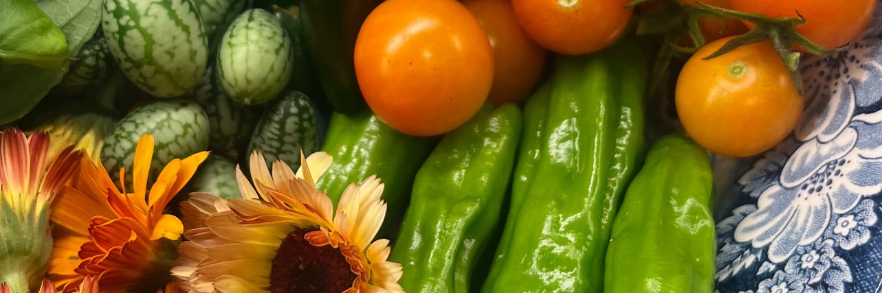 Ashley DePriest, RDN, CNSC, FCCM banner