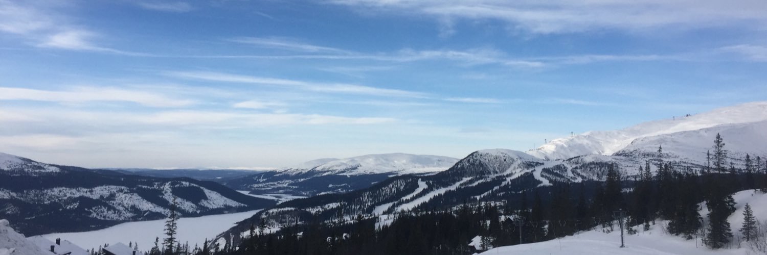 Esilverstig's profile banner image