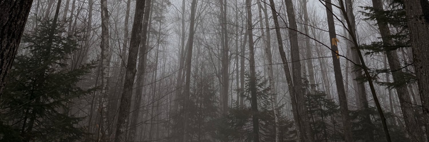 CG_XIII's profile banner image