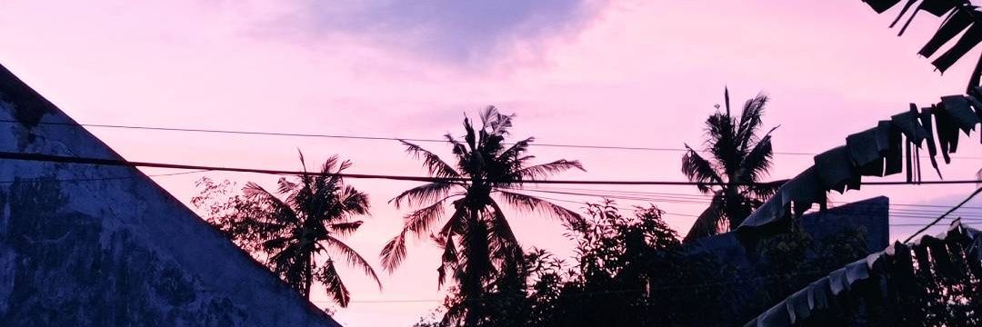 _gulisters's profile banner image