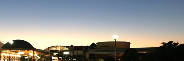 dolphinjan23 Profile Banner