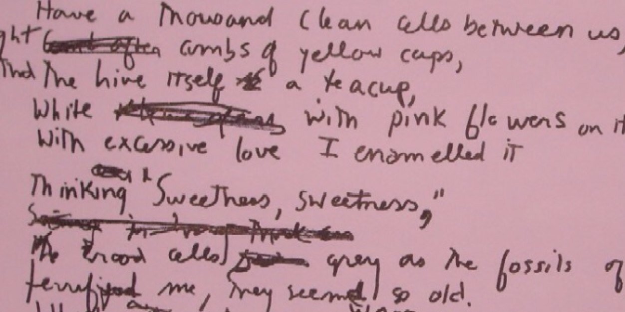 claire senko 🇺🇦 🇨🇦 🎶 banner