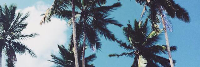 fannynilsson's profile banner image