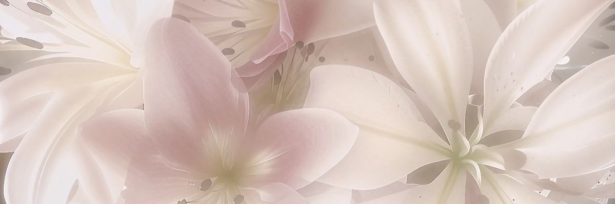 J4YVANTES's profile banner image