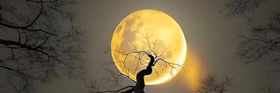 ＡＺＯＺ 𓅃 banner