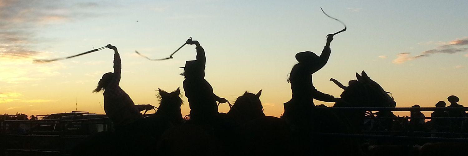 Gatopalacio's profile banner image