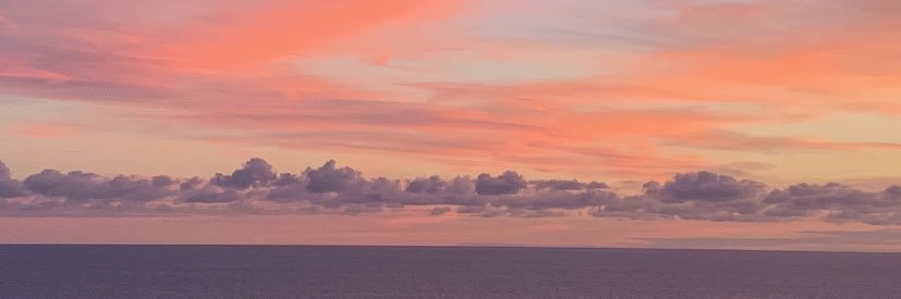 CarlaAHardman's profile banner image