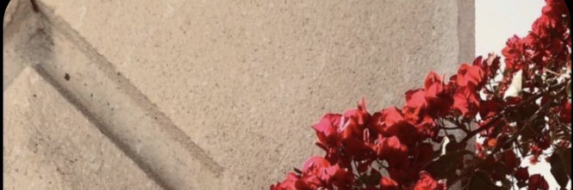 shaima1114's profile banner image